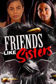 Friends Like Sisters (2023) Hindi