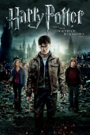 Harry Potter and the Deathly Hallows: Part 7 (2010) Hindi Dubbed